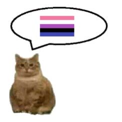 genderfluid Genderfluid Pride, Bisexual Flag, Lgbt Flag, Fred Weasley, Silly Cats, My Vibe, Reaction Pictures, Interesting Art, A Cat