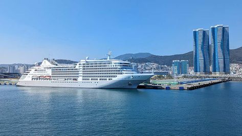 The Pros and Cons of Taking a Japan Cruise Japan Cruise, Pros And Cons, Cruises, Worth It, Take That, Japan