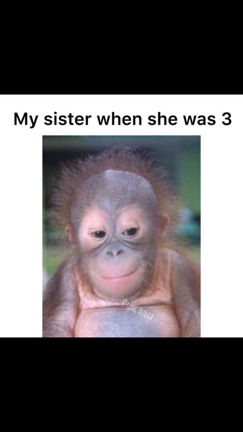 My sister How To Annoy Your Sister, Sister Jokes Funny, Sister Humor, Annoying Sister, Sister Jokes, Sister Funny, Funny Sister, Aries Zodiac Facts, Sisters Funny