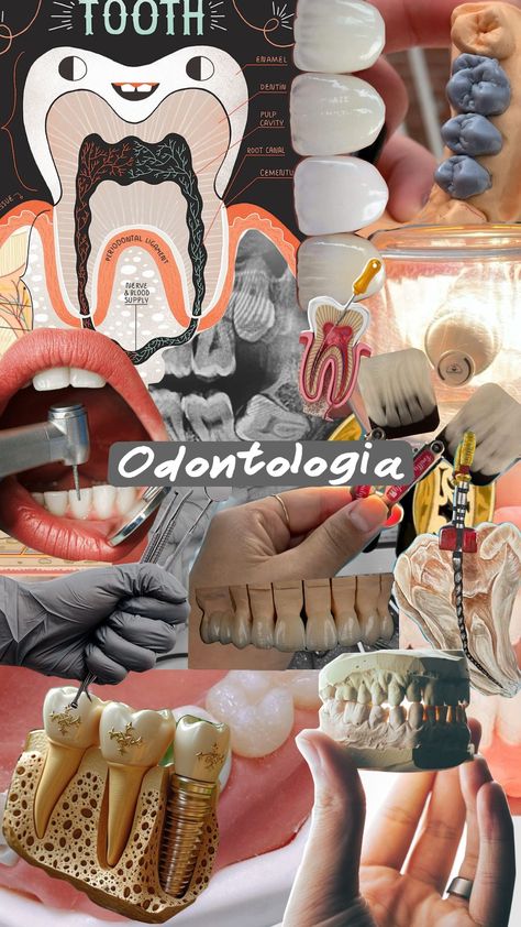 Orthodontics Aesthetic, Dentist Pictures, Dentist Wallpaper, Dentist Photo, Dentist Poster, Dentist Career, Dentist Design, Dental Assistant School, Dental Wallpaper