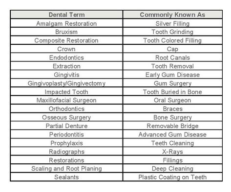 Favero Family Dental | Dental Terms Cheat Sheet Dental Terminology Cheat Sheet, Dental Assistant Tips, Dentistry Notes, Dental Assistant Study Guide, Dental Notes, Dental Terminology, Dental Nursing, Dental Receptionist, Dental Assistant School