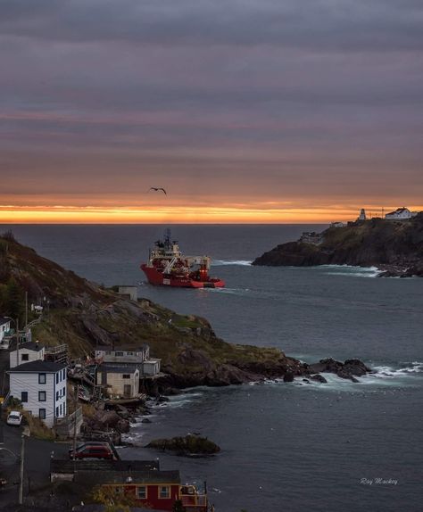 Newfoundland St Johns, St Johns Newfoundland, Nautical Aesthetic, Labrador Canada, Newfoundland Canada, Canada Map, Eclectic Aesthetic, Buildings Photography, Living Modern