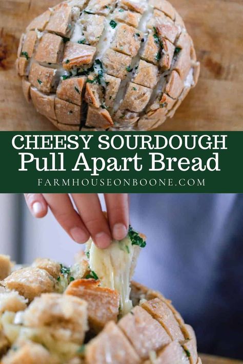 Pull Apart Cheese Bread, Cheesy Pull Apart Bread, Pesto Bread, Sourdough Loaf, Dough Starter, Sourdough Starter Discard Recipe, Homemade Sourdough Bread, Herb Bread, Artisan Bread Recipes