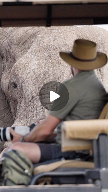 James Tyrrell on Instagram: "Whilst photographing elephants at a waterhole in the middle of nowhere, @alanshenton has a particularly large bull approach unexpectedly from the side (elephants can move remarkably quietly!). A close encounter like this with such a massive animal can be a pretty spiritual and surprisingly calming experience. Alan does exactly what he should do; put down the camera and take it all in… . . . #elephant #big5 #nature #closeencounter #botswana #wilderness #safari #safarimoments #africa #adventure #closeup #natgeo #natgeowild" Elephant Videos, Africa Adventure, Biggest Elephant, In The Middle Of Nowhere, Middle Of Nowhere, Close Encounters, Like A Boss, Botswana, Cute Gif