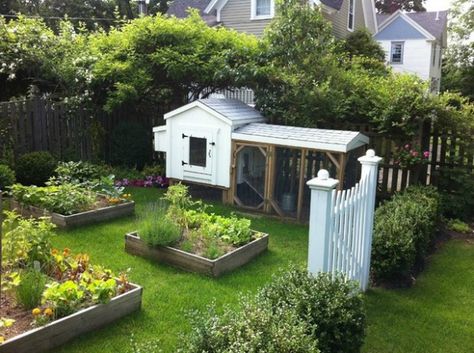 Raised Bed Herb Garden, Cute Chicken Coops, Chicken Garden, Farmhouse Landscaping, Building A Chicken Coop, Garden Area, Backyard Chicken Coops, Country Landscaping, Veggie Garden