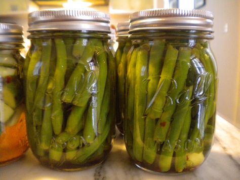 Refrigerator Dilly Beans! – Cook. Can. CSA. Dilly Green Beans, Dill Beans, Fermented Green Beans, Pickled Green Beans, Dilly Beans, Preserving Recipes, Refrigerator Pickles, Pickled Veggies, Pickled Vegetables