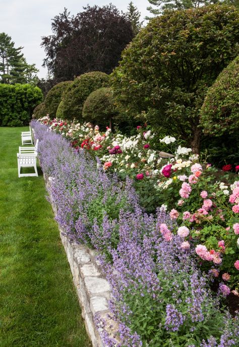 Backyard Simple, Screen Porches, Funny Vine, Rose Garden Design, Garden Design Layout, Lavender Garden, Flower Garden Design, Magic Garden, Have Inspiration