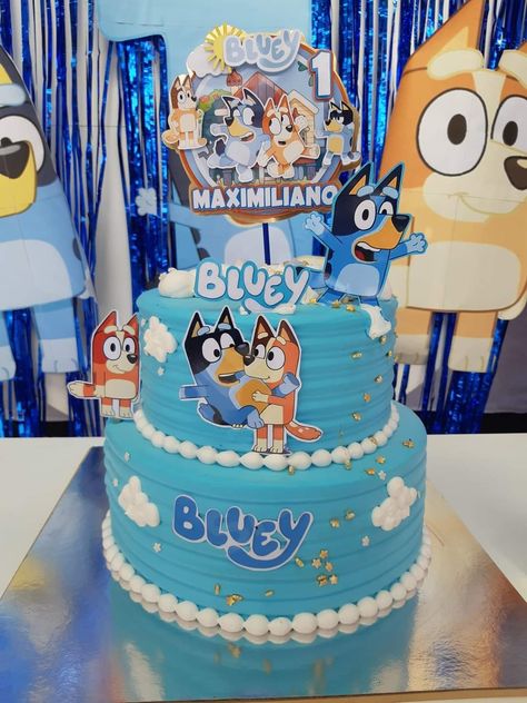 Bluey Cake Ideas Two Tier, 2 Tier Bluey Cake Ideas, Bluey First Birthday Cake, Bluey Cakes For Boys, Bluey Birthday Party Ideas Cake, Bluey And Bingo Birthday Cake, Bluey Snacks For Party, Bluey Smash Cake Boys, Bluey Cake Ideas For Boys