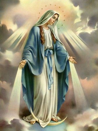 blessed virgin mary december | ... the Immaculate Conception of the Blessed Virgin Mary | one tiny violet Immaculate Mary, Assumption Of Mary, Blessed Mary, Maria Magdalena, Religious Pictures, Mama Mary, Queen Of Heaven, Holy Rosary, Immaculate Conception