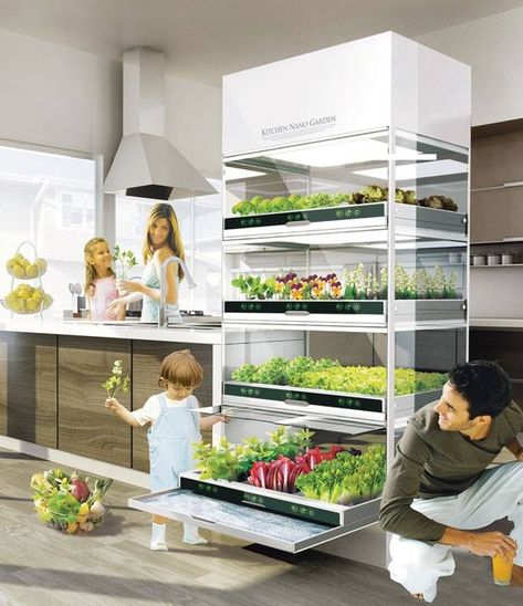 Ikea's Hydroponic System Allows You To Grow Vegetables All Year Round Without A Garden... Hydroponic Garden, Hydroponic Systems, Hydroponic Farming, Hydroponics Diy, Hydroponic Growing, Pergola Design, Plant Nutrients, Invasive Plants, Aquaponics System