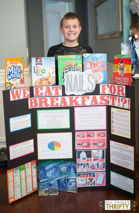 Science Fair Project Ideas for 5th Graders-2 Elementary School Science Fair Projects, Science Fair Projects For Elementary, Stem Fair Projects, Winning Science Fair Projects, Middle School Science Fair Projects, Easy Science Fair Projects, Science Fair Project Ideas, Elementary Science Fair Projects, Fair Project Ideas