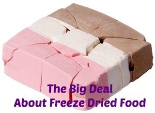 The Big Deal About Freeze Dried Food   Backdoor Survival Italian Gelato Recipe, Astronaut Food, Freeze Dried Ice Cream, Best Freeze Dried Food, Gelato Recipe, Neapolitan Ice Cream, Space Food, Dry Ice, Freeze Drying Food