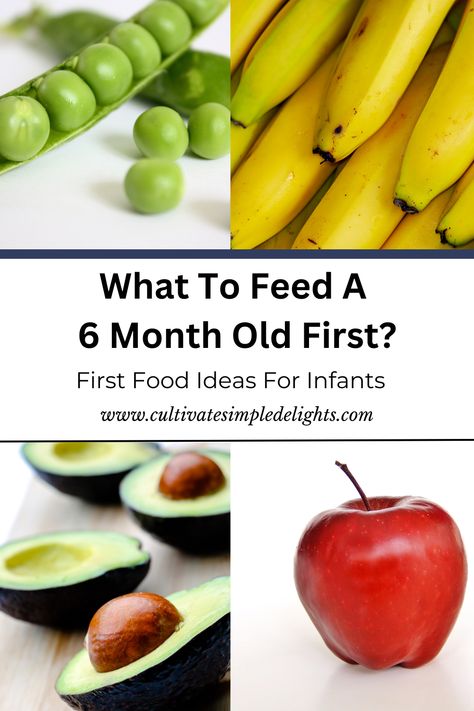 Figuring out what to feed your 6 month old can be overwhelming? With this article we go over everything you need to know about preparing your child's first foods with easy baby food recipe ideas and cooking tips for feeding your 6 month old their first foods. What Should I Feed My 6 Month Old, What Can A 6 Month Old Eat, What Foods Can I Give My 6 Month Old, Starting Foods At 6 Months, Feeding 6 Month Old Baby, What To Feed My 6 Month Old, 6 Month Old Food Ideas Starting Solids, First Foods For 6 Month Old, 6 Month Old Baby Food