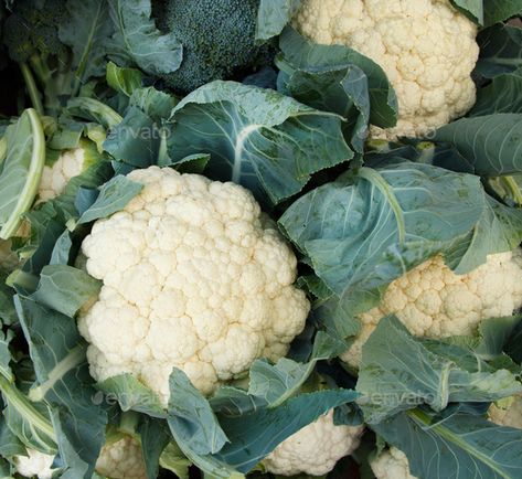 Vitamins For Vegetarians, Raw Cauliflower, Creative Icon, Fruit Art, Healthy Ingredient, Health Healthy, Food Photo, Fresh Food, Agriculture