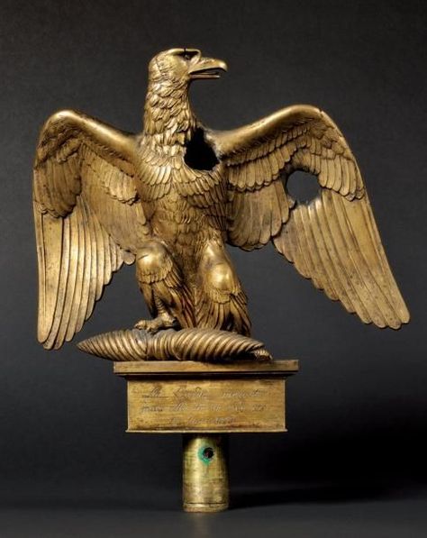 Battle Damaged French Eagle Standard (1804) Imperial Eagle, Western Artwork, Battle Of Waterloo, Historical Painting, Extinct Animals, Golden Eagle, French Army, Napoleonic Wars, Historical Art