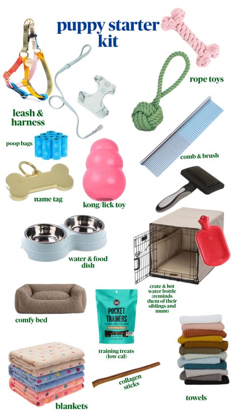 inspiration for what you might need to bring home your puppy! Puppy Room Decor, Boy Dog Accessories, Puppy Starter Kit, Puppy Room, Puppy Mom, Puppies Tips, Puppy Accessories, Dog Info, Training Treats