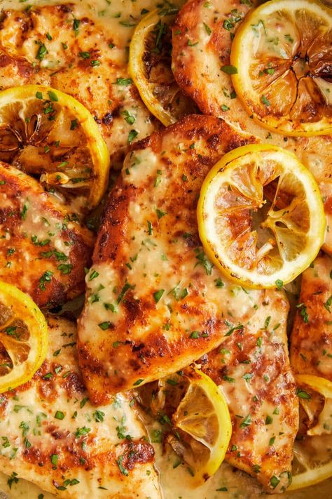 Lemon Chicken Parmesan Recipe, Parmesan Lemon Chicken, Damn Delicious Recipes Chicken, Lemon Parm Chicken, Chicken Recipes Lemon, Lemon Garlic Parmesan Chicken, Lemon Garlic Chicken Breast, Lemon Parmesan Chicken, Lemon Dinner