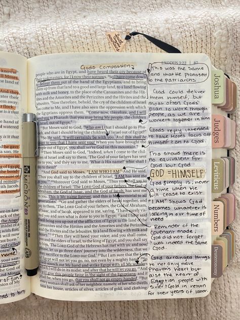 Notetaking Bible Ideas, Bible Note Taking Methods, Bible Study Catholic, Annotated Bible Aesthetic, Bible Tip Ins, Bible Annotations Aesthetic, Bible Book Aesthetic, Exodus Bible Study Notes, Bible Notations