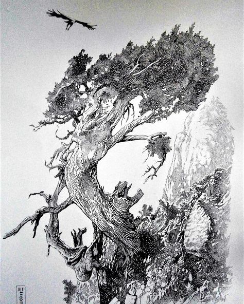 Murray Smoker on Instagram: “"Vulture's Perch" dip pen and ink illustration #penandinkart #penandink #pen #pendrawing #penillustration #drawing #draw #crowquill…” Tree Pen Drawing, Dip Pen Art, Dip Pen Drawing, Basics Drawing, Pen And Ink Illustrations, Diptych Art, Illustrator Artwork, Tree Sketch, Pen And Ink Drawings