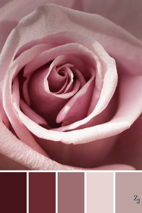 Dusty Pink Color Palette, Rose Colors, Pink Mauve, Color Balance, Style Advice, Color Inspo, Colour Board, Trendy Wedding, Colour Schemes