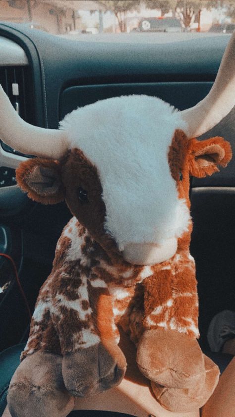 Long Horn Cow Build A Bear, Western Stuffed Animals, Longhorn Build A Bear Aesthetic, Build A Bear Longhorn Aesthetic, Build A Bear Highland Cow, Longhorn Build A Bear, Build A Bear Longhorn, Cow Plushies, Cow Things