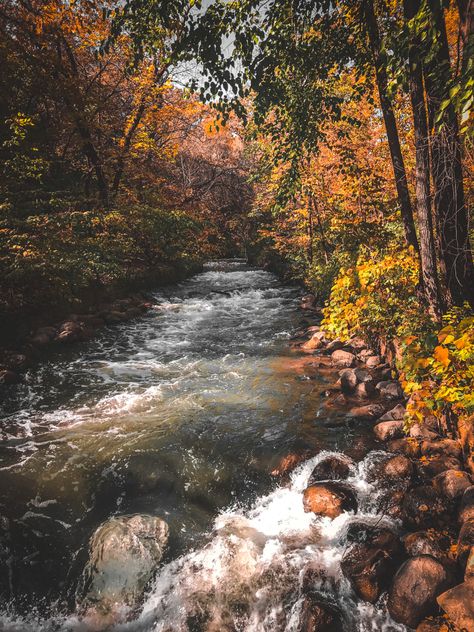 Lake In Autumn, Fall Asethic Widget, Fall Lake Aesthetic, Autumn Lake Aesthetic, Fall Playlist Cover Aesthetic, Homescreen Widget Ideas, Fall Playlist Cover, Widget Ideas Aesthetic, Dear October