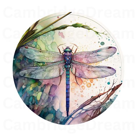 Stained Glass Drawing, Drawing Dragonfly, Watercolour Dragonfly, Show Rabbits, Insect Clipart, Candle Clipart, Dragonfly Images, Dragonfly Stained Glass, Glass Png