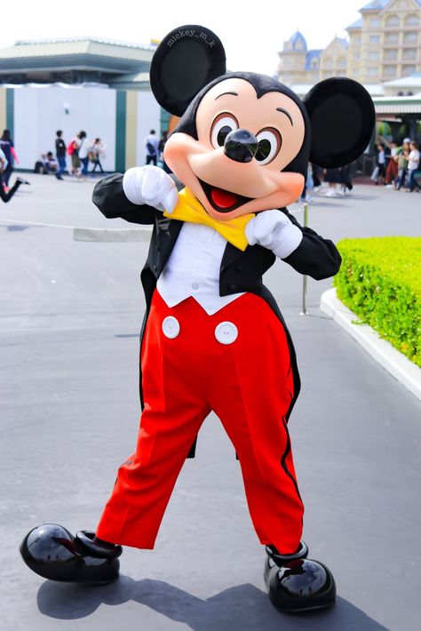 Mickey Disney Best Friends, Disneyland Anaheim, Mickey Mouse Costume, Disney World Wedding, Disney Now, Walter Elias Disney, Mouse Wallpaper, Disney World Characters, Mickey Mouse Wallpaper