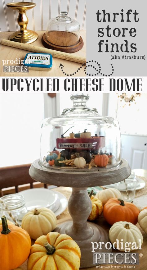 Oh how cute!! This upcycled cheese dome turned farmhouse style cloche is perfect for creating vignettes for fall, winter, summer, spring and more. Get the DIY details at Prodigal Pieces | prodigalpieces.com #prodigalpieces #handmade #fall #home #homedecor #crafts Cheese Dome Christmas Decor, Cheese Dome Decor Display, Fall Cloche Ideas Glass Domes, Cheese Dome Decor, Fall Cloche Ideas, Glass Cheese Dome, Miniature Wagon, Christmas Cloche, Glass Cloches