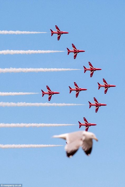 The picture was taken by photography student Jade Coxon at the Llandudno Air Show on Satur... Arrow Image, Raf Red Arrows, Seagulls Flying, Photography Student, Air Flight, Red Arrows, Surfer Girl Style, Red Arrow, Battle Of Britain