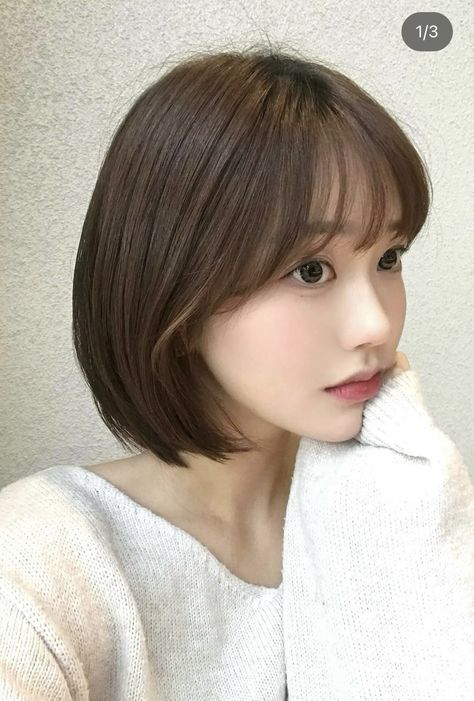 Chae Soo Bin Short Hair, Short Hair Japanese, Korean Short Hairstyle, Japanese Short Hair, Haircut 2024, Korean Short Hair, Korean Shorts, Easy Hair Cuts, Asian Short Hair