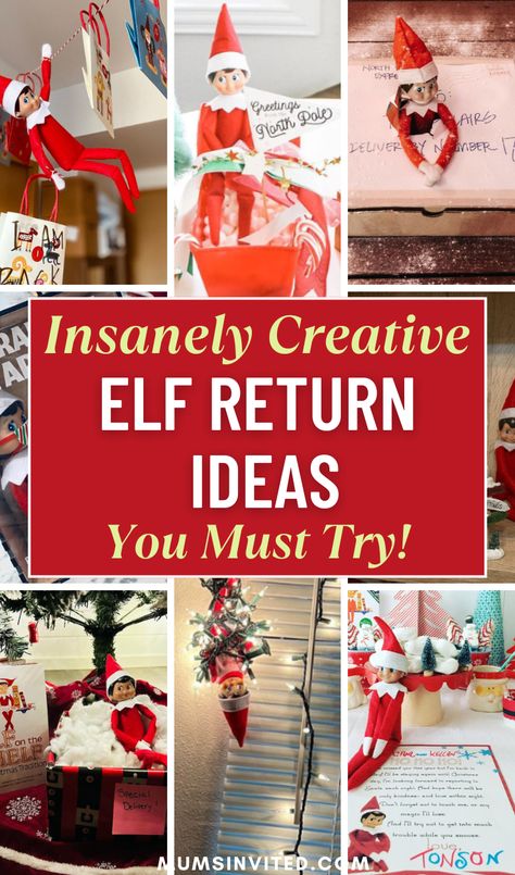 Looking for creative & easy Elf on the Shelf return ideas for 2024? Whether it's your elf's first time or a fun return, you'll find it here! From a funny arrival letter to school-themed ideas like a paper airplane or classroom reindeer, there's something for toddlers, teens & parents. Try a balloon welcome, DIY advent calendar, or a pet reindeer. Use free printable letters for a simple, last-minute elf idea. Get your elf back with marshmallow snow or a Grinch twist. Perfect for 2 elves too! Elf On The Shelf Returning Ideas, Elf Advent Calendar, Elf On The Shelf Return, Pet Reindeer, Elf Is Back Ideas, Elf Delivery, Avent Calendar, Christmas Eve Box Ideas, Elf Idea