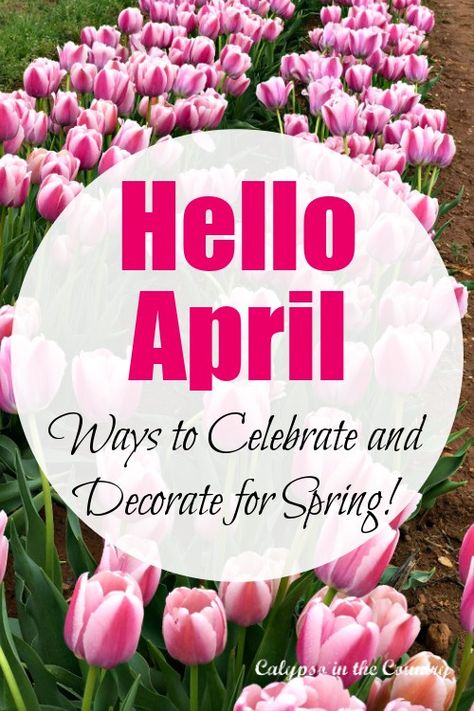 Hello April - pink tulip field April Table Decorations, April Decorating Ideas, April Decorations, April Decor, April Holidays, April Images, Welcome April, April Ideas, Crafts Spring