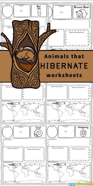 Children will love learning about these fascinating animals from around the world that hibernate during the cold winter months. Grab these free printable Animals that Hibernate Worksheets for kindergarten, first grade, 2nd grade, 3rd grade, 4th grade, 5th grade, and 6th grade students to make learning about animals fun and easy! Hibernation Worksheets For Kindergarten, Hibernating Animals Printable, Migration And Hibernation Activities, Animal Unit Study, Hibernation Migration Adaptation Kindergarten, Habitat Lessons 2nd Grade, Hibernating Animals, Hibernation Activities, Animal Cell Project