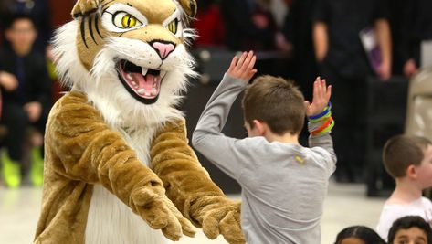 Austin Maskell, a top athlete, shares the duties of "Wildcat" with other students as part of the school's VIP(Volunteers in Practice) program, a higher level of student community service. All Weymout… Wildcat Mascot, High School Mascots, Community Service, School Mascot, High Level, Wild Cats, Picture Gallery, Austin, Quick Saves