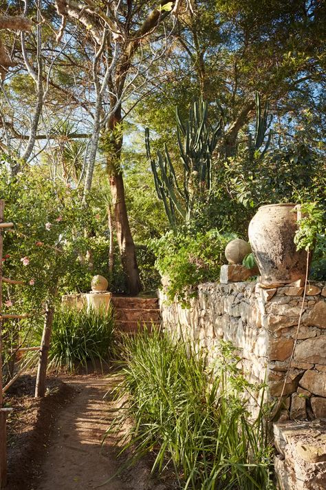 Umberto Pasti's Moroccan garden | House & Garden Umberto Pasti, Greek Garden, Roman Garden, Moroccan Garden, Hillside Garden, Garden Walls, Shady Tree, Stone Pathway, Future Garden