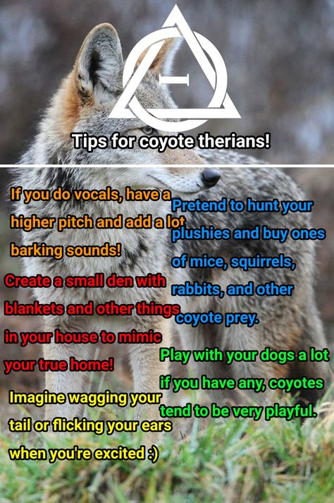 Any caninekin could follow these tbh but yeah Therian Snout Tutorial, Coyote Therian Outfit, Therian Tips For School, Therian Activities, Coyote Therian Pfp, Coyote Therian Tips, Tips For Therians, Therian Coyote, Therian Mask Ideas Coyote