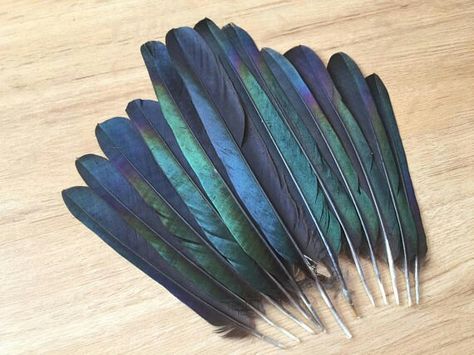 Smudge Feathers, Eurasian Magpie, Types Of Feathers, Crow Feather, Raven Feather, Weaving Inspiration, Pheasant Feathers, Inspiration Aesthetic, Tail Feathers