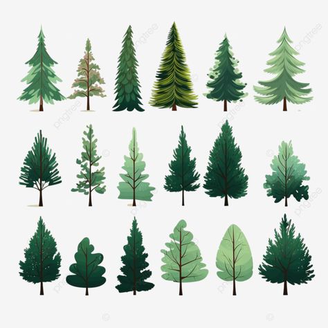 christmas trees in flat style isolated pine spruce fir vector illustration nature forest set png Forest Clip Art, Pine Tree Clipart, Trees Clipart, Coniferous Forest, Forest Drawing, Pine Trees Forest, Illustration Nature, Tree Clipart, Spruce Tree