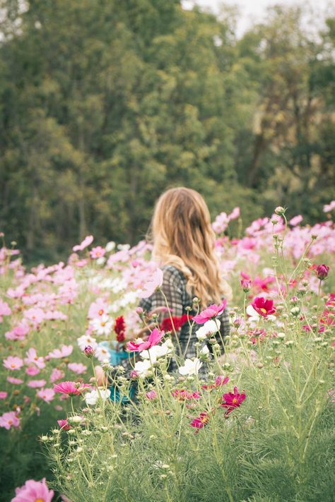 Pick your own flowers at Simmons Farm in Pittsburgh, PA Photoshoot In Flower Fields, Photos In Flower Fields, Photography In Flower Fields, Photo Ideas In Flower Fields, Pictures In Wildflowers Fields, Flower Branding, Valley Of Flowers, Picnic Inspiration, Flower Photoshoot