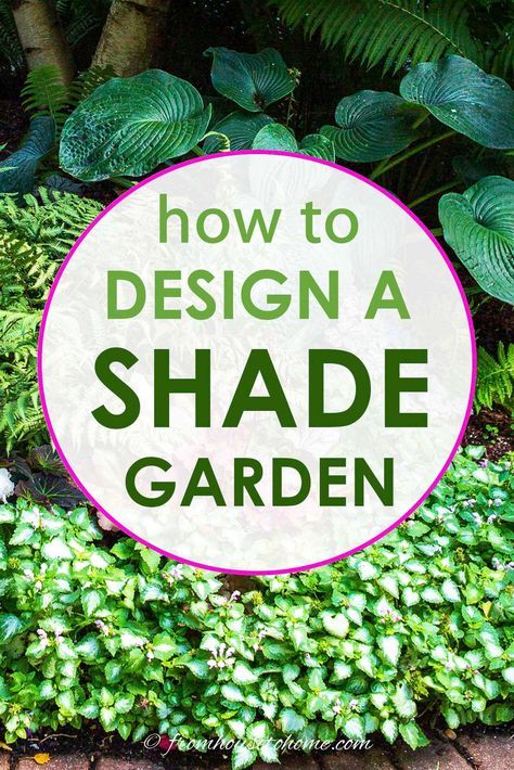 Front Yard Garden Beds, Small Front Yard Garden, Shade Planters, Shade Landscaping, Shade Garden Design, Woodland Gardens, Shade Loving Perennials, Shade Garden Plants, Flower Bed Designs