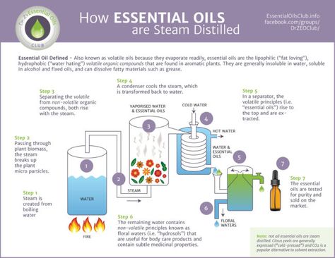 Cosmetic Laboratory, Oil Distiller, Nature Living, Essential Oil Distiller, Oils Essential, Essential Oil Extraction, What Are Essential Oils, Making Essential Oils, Distillation Process