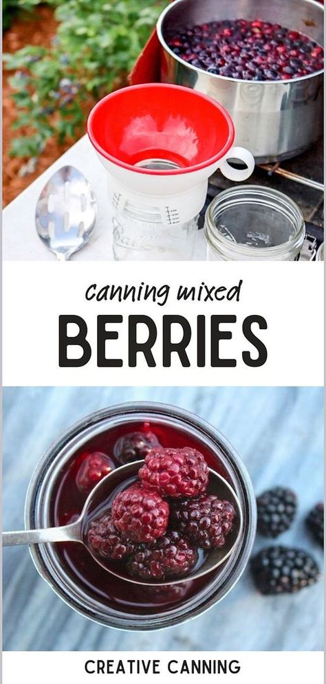 Fruit In Jars, Canning Blackberries, Canning Fruit Recipes, Preserving Fruit, Raspberry Pie Filling, Canning Jam Recipes, Canned Strawberries, Pressure Canning Recipes, Canning Fruit