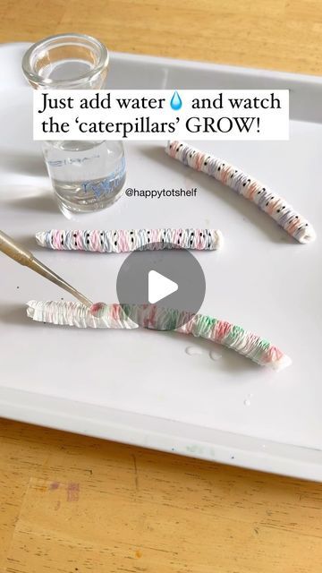 Fynn Sor | Happy Tot Shelf on Instagram: "🐛✨ Watch these caterpillars grow right before your eyes!

💫 What’s the science behind this experiment? 💫
Paper towels are mostly made of cellulose, a material that loves water. When you add water, the cellulose fibres soak it up through capillary action, causing the paper towel to expand.

🤩 Want more kid-friendly science experiments? Comment ‘Science’ and I’ll send you our list of easy and fun science experiments for preschoolers – perfect for sparking your young learner’s curiosity!

#ScienceForKids #FunExperiments #GrowingCaterpillars #HandsOnLearning #STEMactivities #HappyTotShelf #KidsScience #DuploInspiration #EducationalFun #CuriousKids #earlylearning #preschoolactivities" Capillary Action Experiment, Easy Experiments For Kids Preschool, Science Experiments Kids Preschool Easy, Caterpillar Activities For Preschool, Experiments For Preschoolers, Water Experiments For Kids, Toddler Entertainment, Science Experiments Kids Preschool, Fun Science Experiments