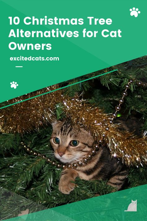 Cats and Christmas trees do not mix. Whether they’re knocking baubles onto the floor or scaling the branches, cats seem to love the smell of pine and the natural allure of the tree bark. While it might seem like they also love nothing more than causing trouble, your cat is really only doing what instinct demands by climbing, exploring, and inquisitively playing. Read more! #catsoftheworld #catlife #excitedcats #funnycats #christmastree #catadvice Cat Friendly Christmas Trees, Christmas Tree Ideas Cat Proof, Christmas Tree With Pets, Cat Safe Christmas Tree Ideas, Cat Proofing Christmas Tree, Christmas Tree For Cats Owners, Christmas Tree Alternative Cat, Pet Friendly Christmas Tree, Kitten Proof Christmas Tree