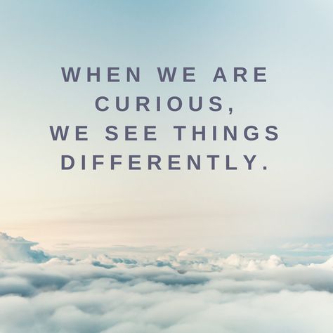 I love this quote. It reminds me that they are many ways to look at a person, topic, or experience. Each perspective comes from a different lense based on their personal history and experience. In order to understand the other person's position, we need to get out of our comfort zone and be curious about the other perspective. Can you think of an instance where you can be curious and ask questions about the other side? Can being curious help you solve a problem? New Perspective Quotes, Curious Quotes, Curiosity Quotes, Wood Snake, Letterboard Quotes, Perspective Quotes, Moodboard Inspiration, Be Curious, Personal History