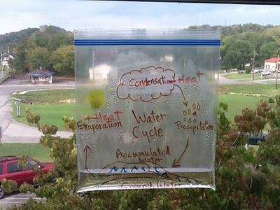 Here's a nice example of a water cycle in a bag. I usually add some small aquarium gravel to the bottom of my bag when I do this. Water Cycle Model, Water Cycle Activities, The Water Cycle, Seltzer Water, 4th Grade Science, 5th Grade Science, Zip Lock Bag, Earth And Space Science, Water Cycle