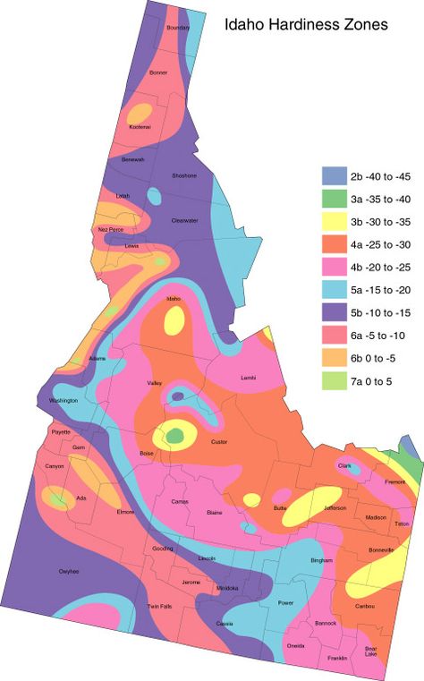 Hardiness zones. Gardening: http://forums.gardenweb.com/forums/idgard/ and http://www.extension.uidaho.edu/mg/ Finding plants: http://plantfinder.sunset.com/plant-home.jsp Idaho Gardening, Idaho Garden, Gardening In Boise Idaho, Idaho State Flower, Flower Zones Map U.s. States, Idaho Hot Springs Map, When To Plant Vegetables, Homestead Gardens, House Yard