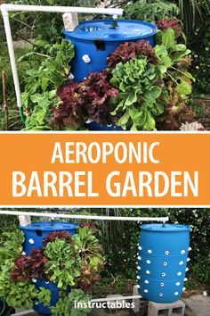 Backyard Hydroponics, Prepper Community, Aeroponics Diy, Homemade Hydroponics, Aeroponic Gardening, Hydroponic Vegetables, Vertikal Garden, Hydroponic Grow Systems, Gardening Backyard