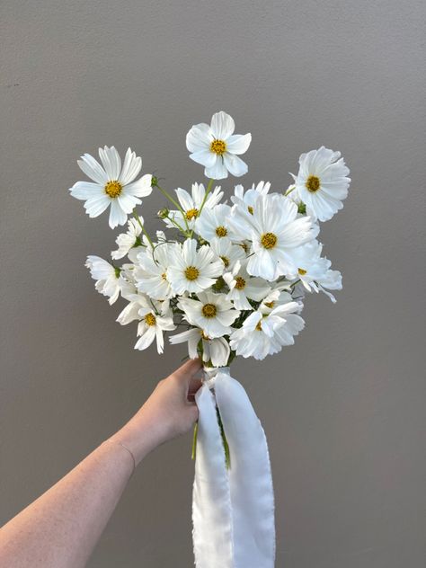 Cosmo bouquet with trailing silk ribbon for Somerley House wedding Bridesmaids With Small Bouquets, Daisy Bridal Bouquet Simple, Single White Flower Bouquet, One Flower Bridal Bouquet, White Boquets Ideas, Small White Bridal Bouquet Simple, One Flower Type Bouquet, Cosmos Bridesmaids Bouquet, Bridesmaid Simple Bouquet